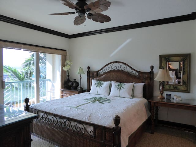 WaipouliBeachResortD407 $199 1/19-24 BlowOutSale!