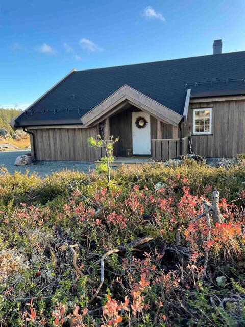 Lun and cozy cabin on Turufjell