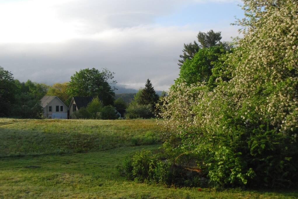 View from the field towards the house with mountains beyond
