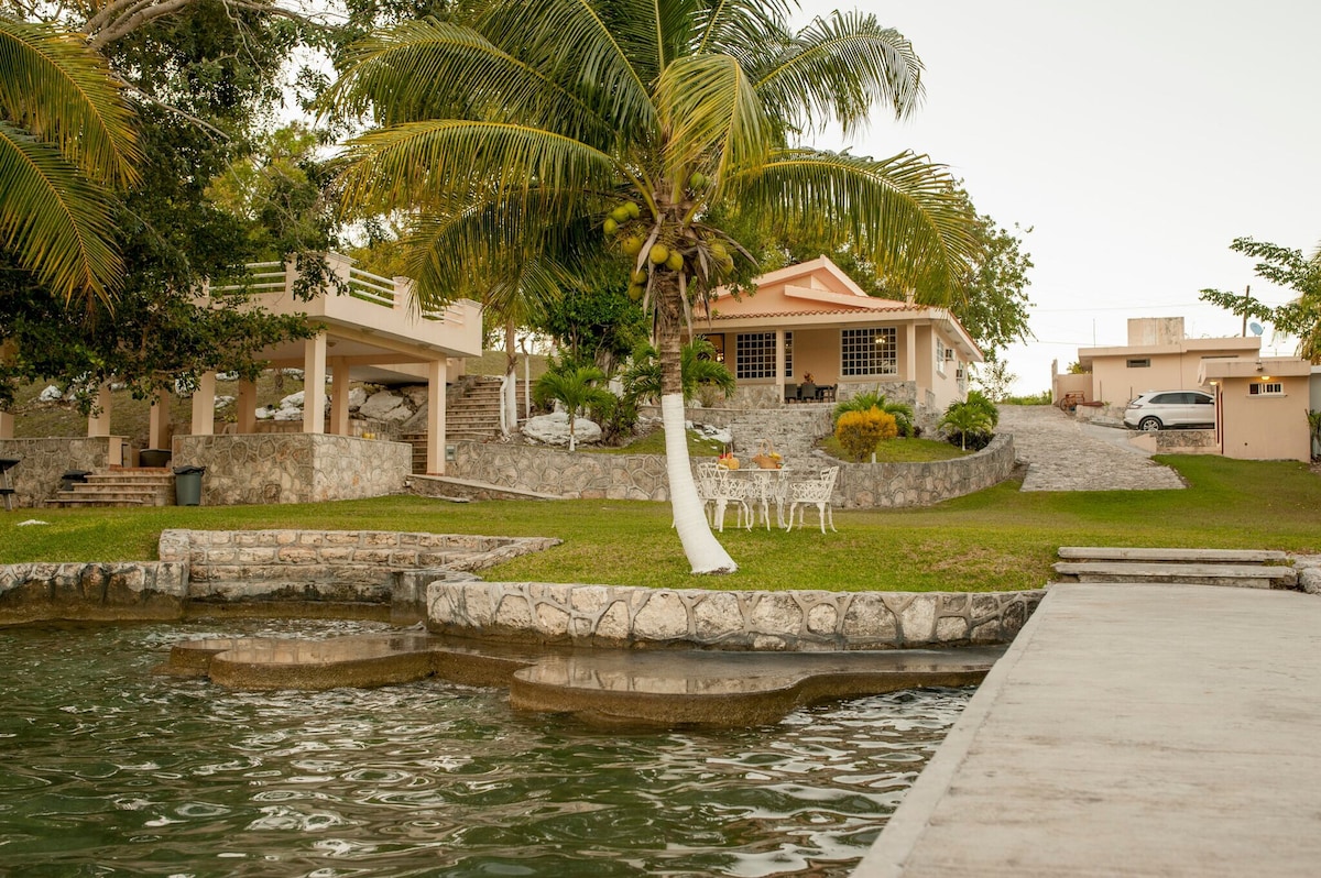 A welcoming house is set amidst lush greenery, featuring a light-colored exterior and a terrace overlooking the tranquil lagoon. Stone steps lead to the water's edge, while a landscaped yard is adorned with palm trees and outdoor seating, creating an inviting space for relaxation.