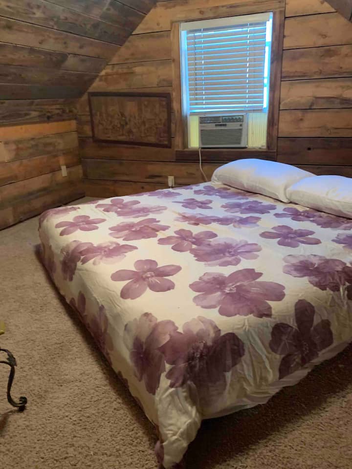 Top 6 Tiny Houses For Rent In Savannah, Updated 2024 Trip101