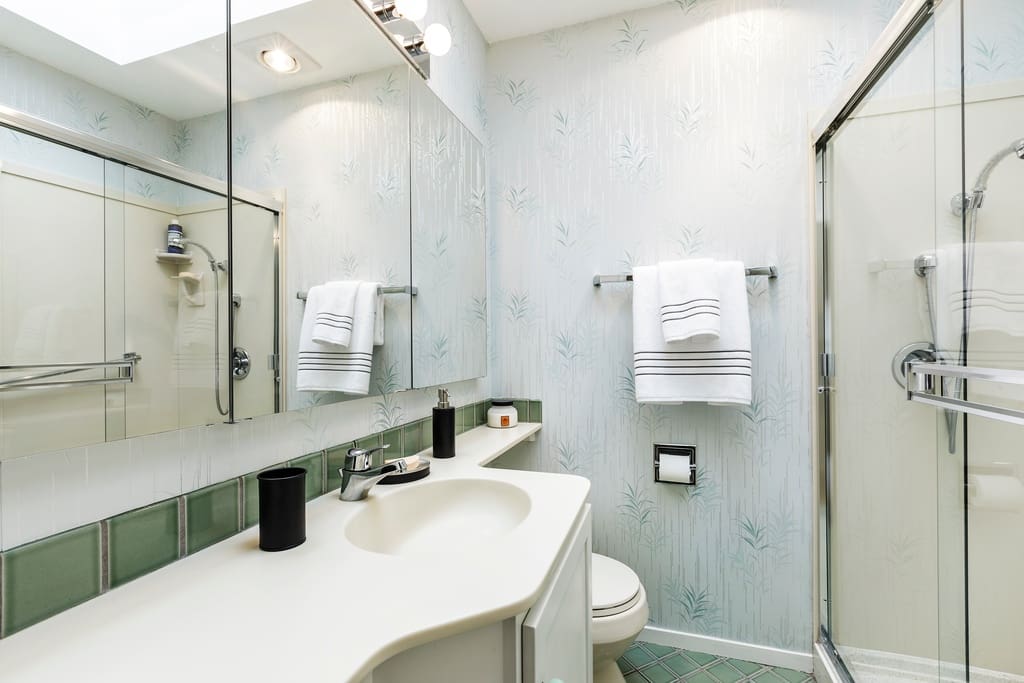 Guest bathroom
