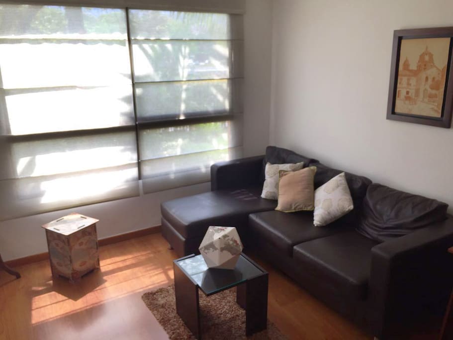 Nice and cozy living room / Sala bonita y acogedora.