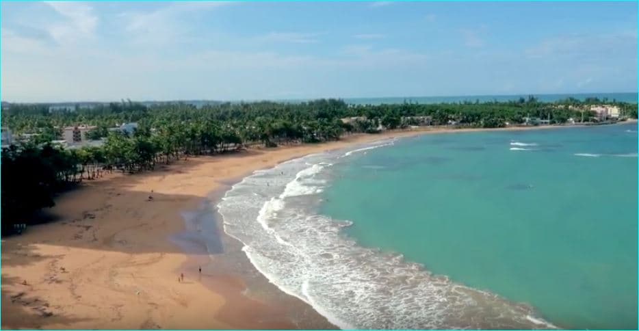 Aerial view of a sandy beach bordered by lush palm trees, with gentle waves lapping at the shore. The blue-green water reflects sunlight, creating a serene atmosphere. The beach curves gracefully, leading to a distant shoreline dotted with buildings and greenery.