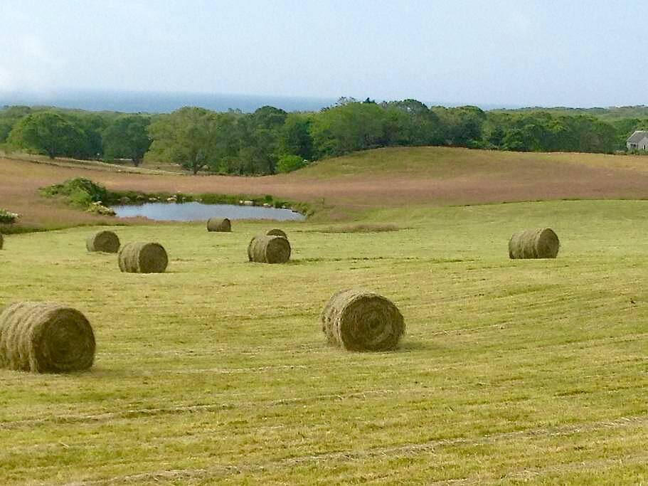 Haying at Keith Farm