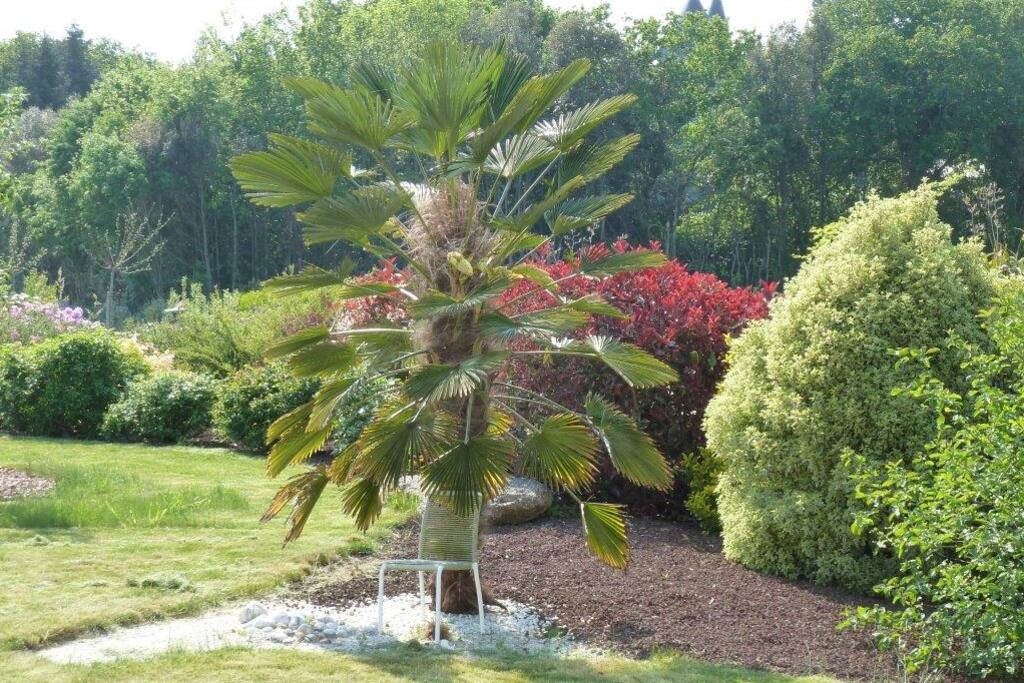 Jardin expo sud