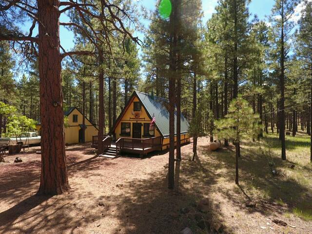 Cozy Mountain Cabin Az Cabins For Rent In Williams Arizona