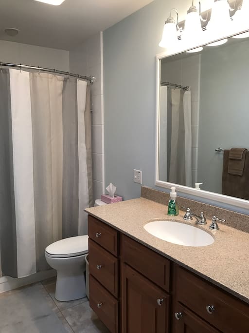 Full bath with tub/shower and natural sunlight from skylight