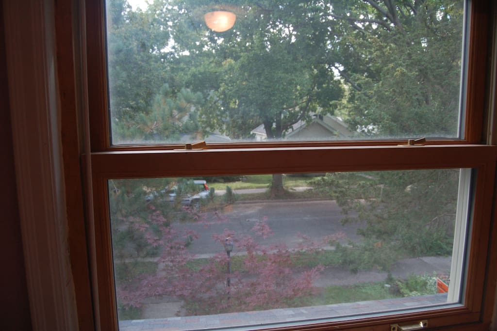 View out bedroom window.
