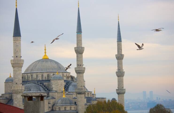 in the hearth of the oldcity istanbul gallery image 3