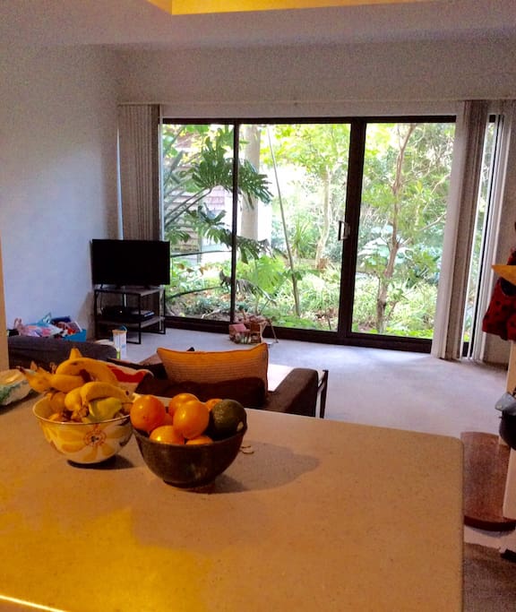 open plan living space