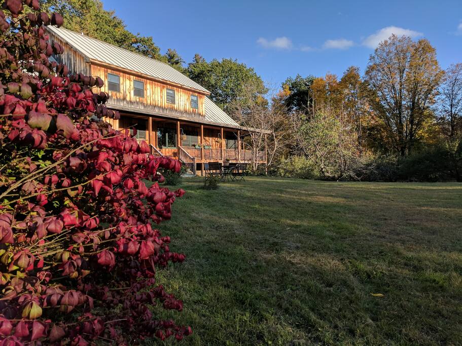 Fall Firebush