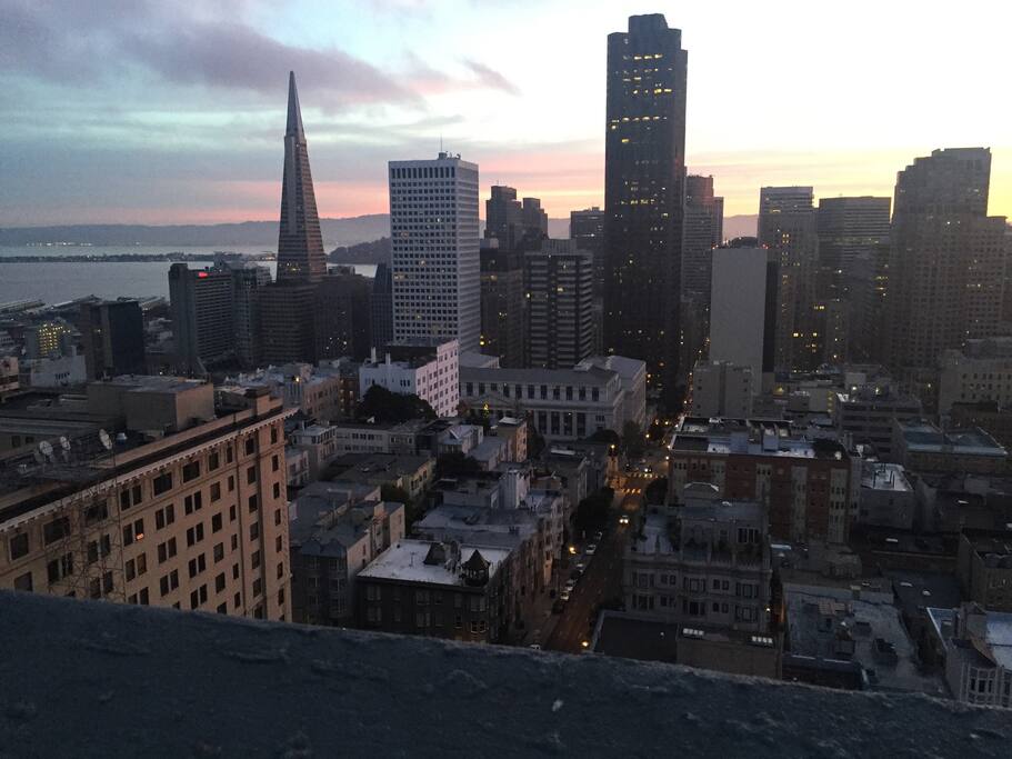 Rooftop View
