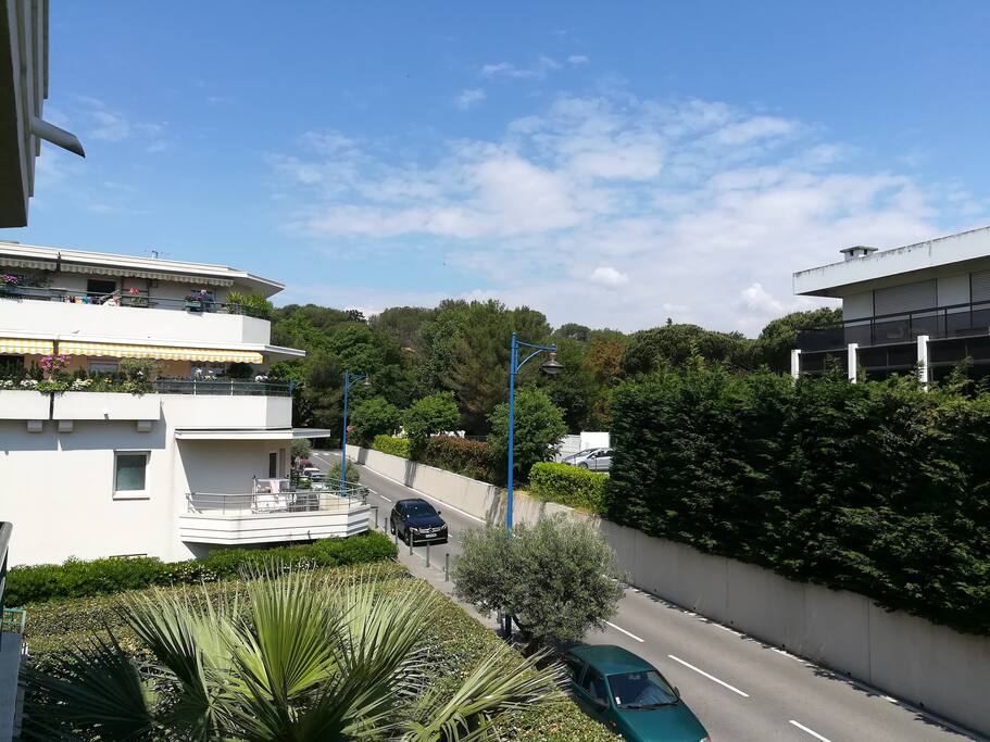 Vue depuis la Terrasse