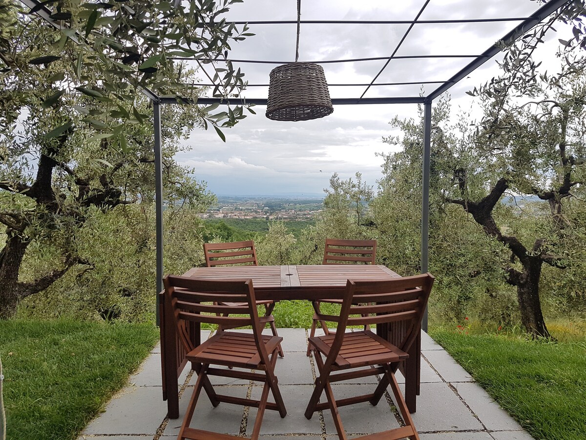 A shaded outdoor dining area is surrounded by ancient olive trees, featuring a wooden table with four folding chairs. A wicker pendant light hangs above, and lush green grass is visible beneath. The distant landscape provides a serene backdrop, enhancing the tranquil setting.
