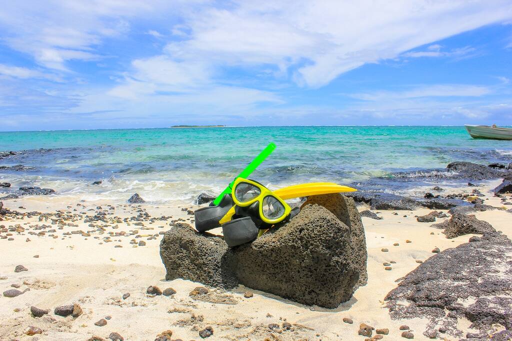 Great snorkelling