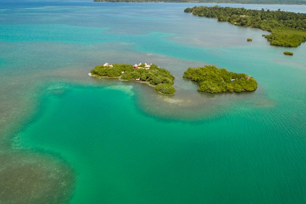 Our mangrove island in the middle of the ocean