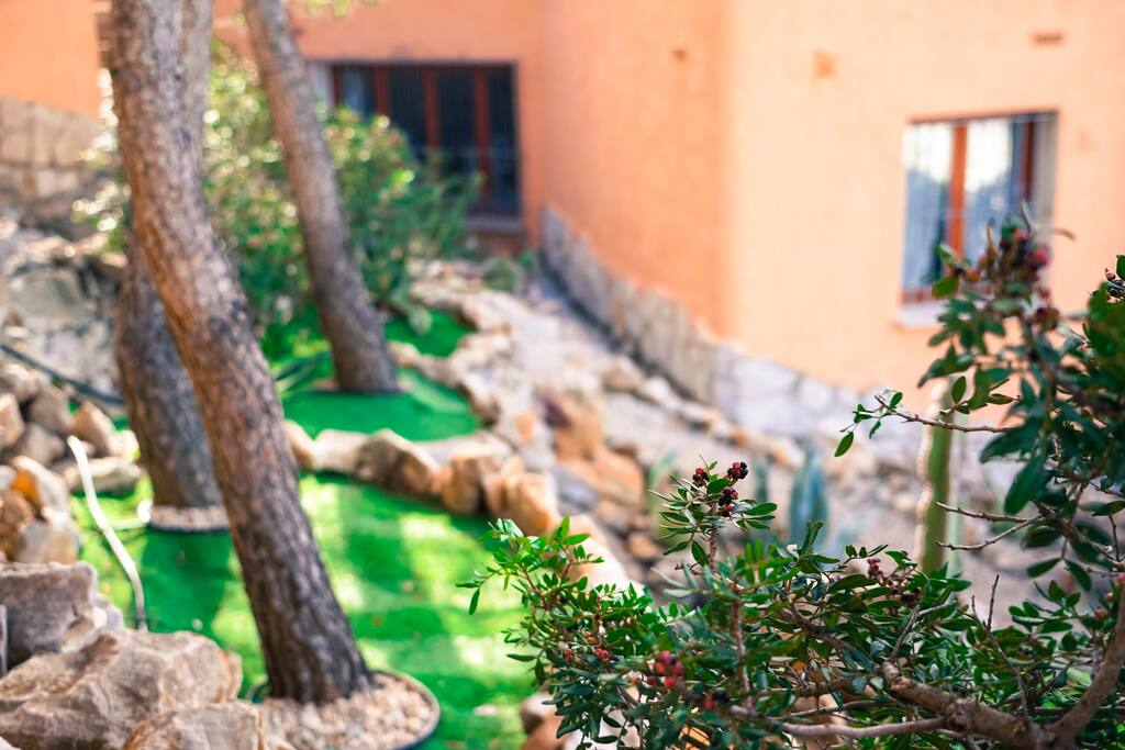 Garden