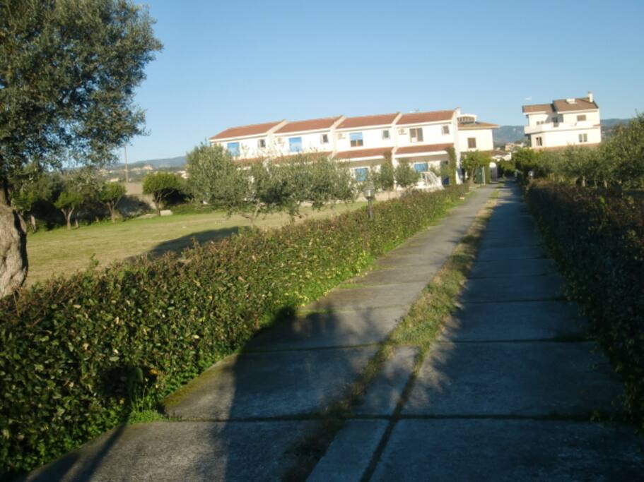 vialetto interno del giardino