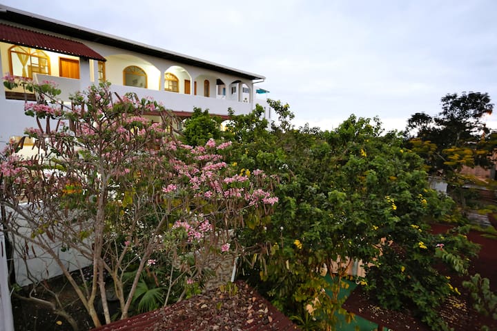 The Galapagos Pearl Hotel managed Airbnb listing 2