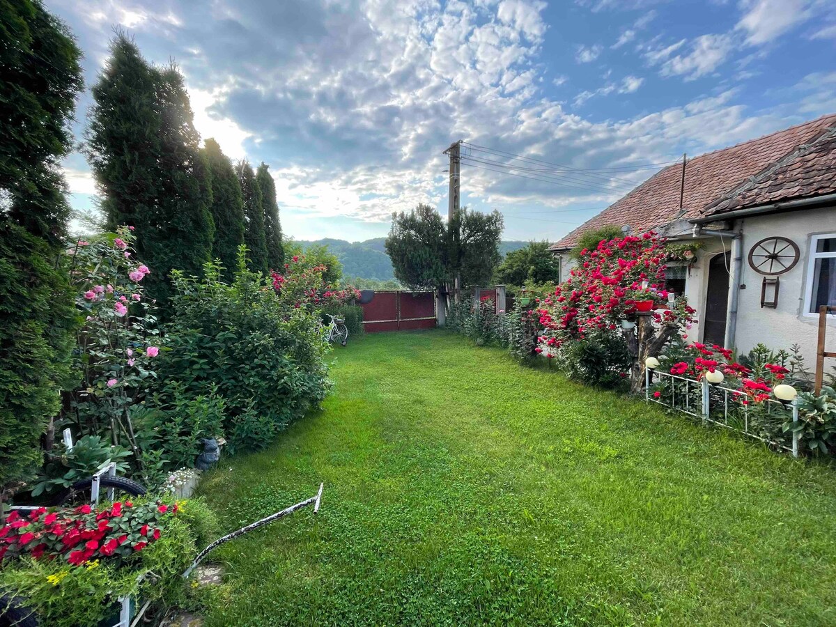 A vibrant garden is filled with lush greenery and blooming flowers in various colors. A well-maintained lawn leads to a modest house with a red fence in the background. The sky is partly cloudy, adding a serene ambiance to the scene.