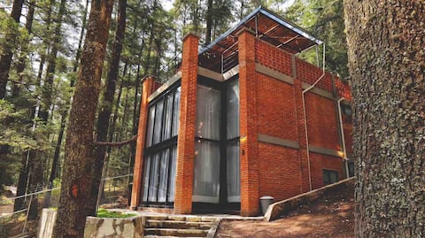 Forest House 3 Cabaña Boutique
