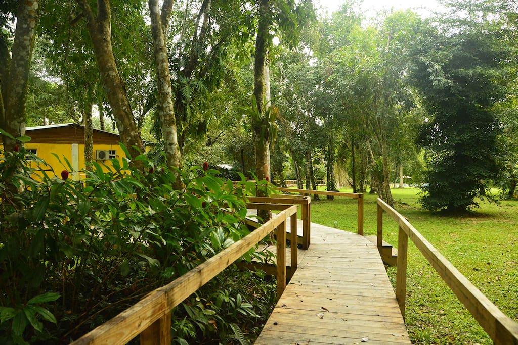 Raised boardwalk to access cabin