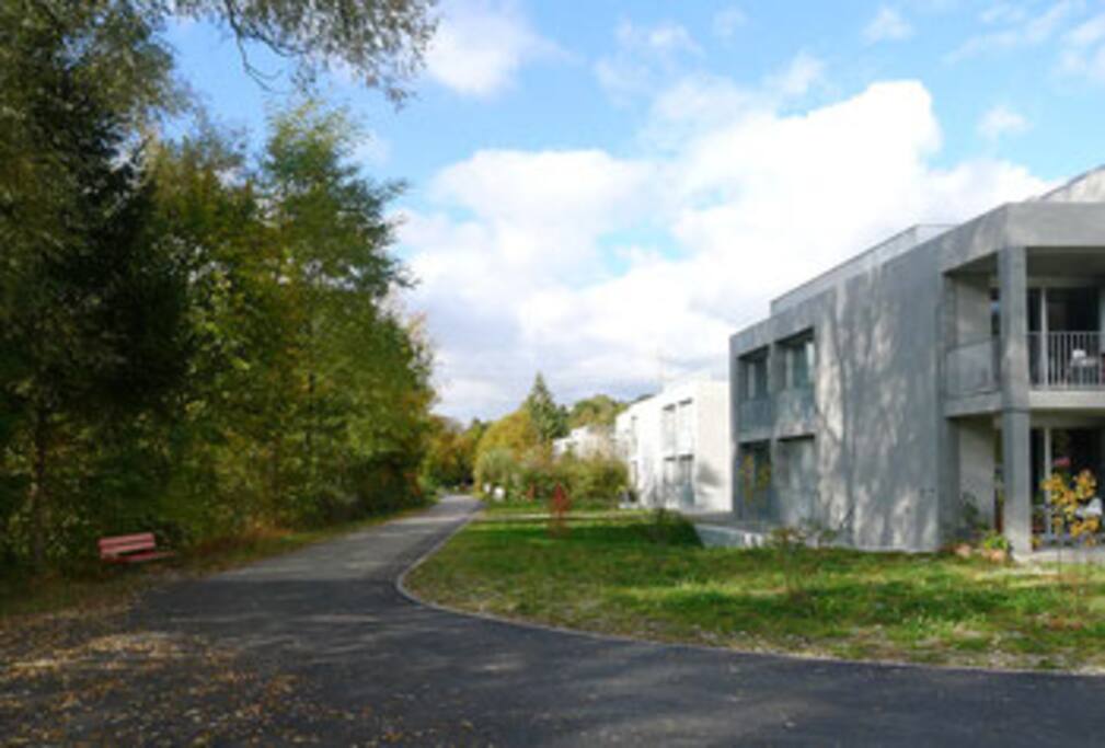 Direkt an der Aare