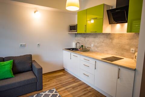 Popular Airbnb listing: Zielony Zdrój, Apartment A 009 with Sun&Snow sauna in Gmina Krynica Zdrój