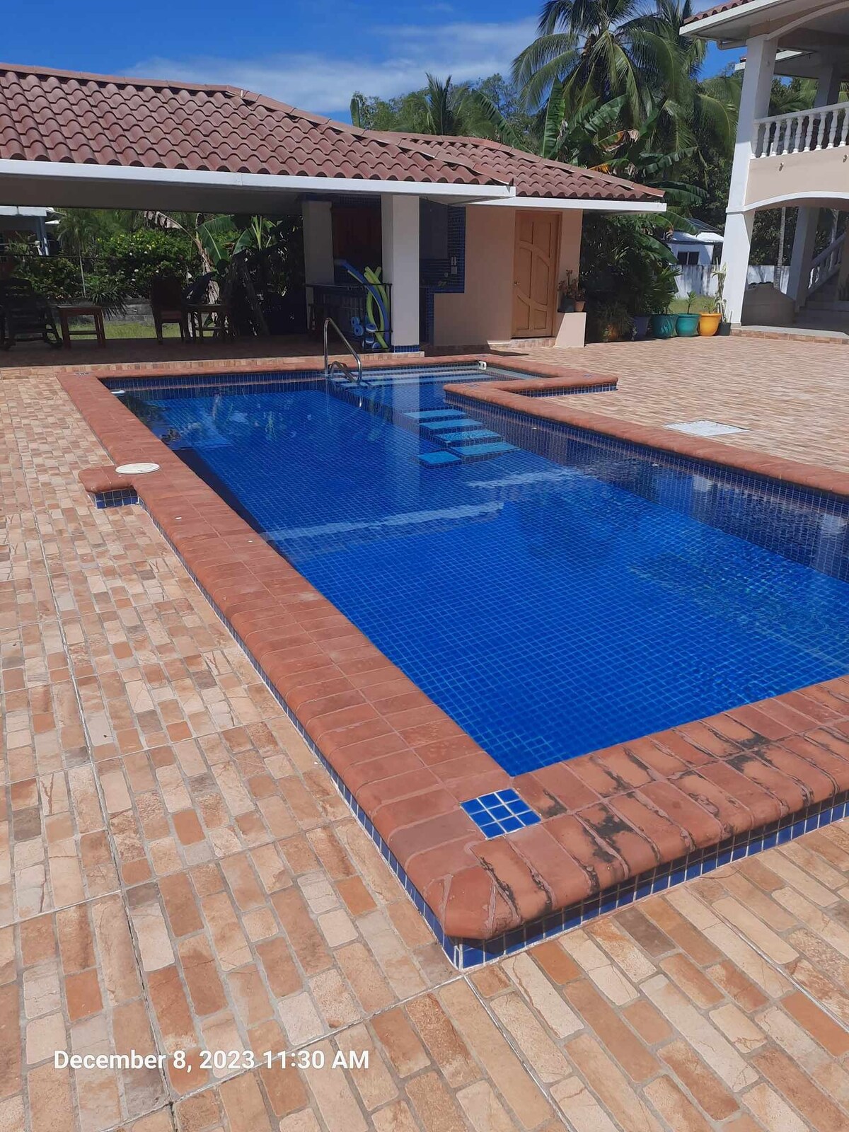 A sparkling pool area is highlighted with terracotta tile and surrounded by a sun-drenched patio. A small set of steps leads into the water. Lush greenery and a covered seating area enhance the inviting outdoor atmosphere.