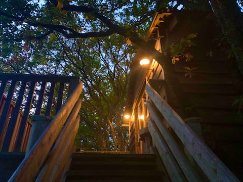 Isle of Wight Tree house