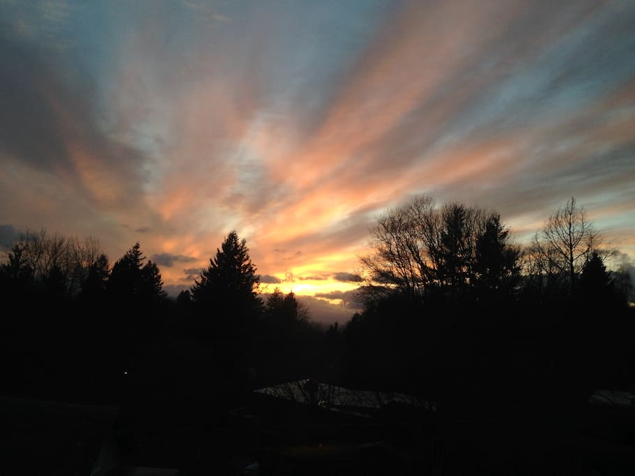 Nighttime view from Living Room.