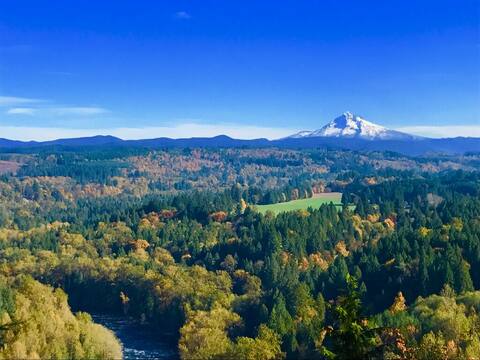 Scenic View Lodge (hot tub, deck, INSPIRING view)