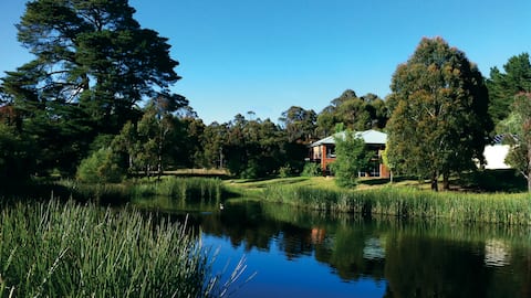 Frogspark - High Country Escape