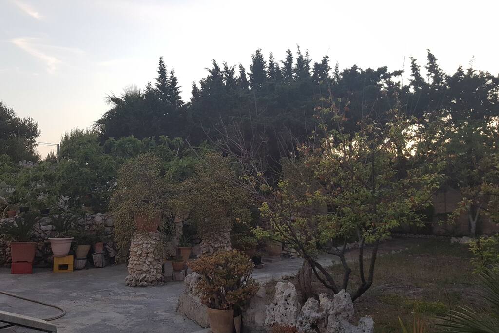 Ampio giardino di proprietà