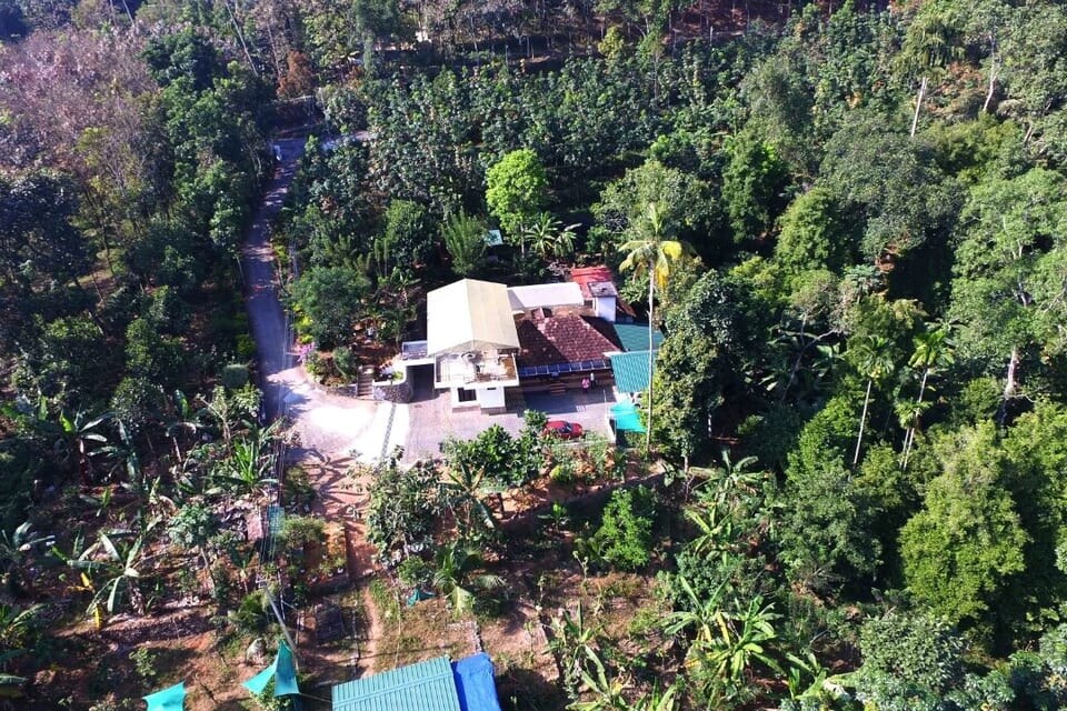 An aerial view captures the organic farm villa surrounded by lush greenery and tropical plants. The property features a traditional house with a sloping roof, situated amidst the vibrant landscape and shaded by tall trees. Pathways weave through the farm, connecting various areas.