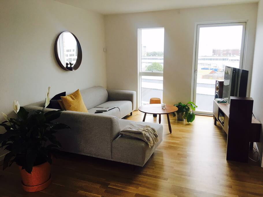 Livingroom. Couch is also good for taking a little nap.