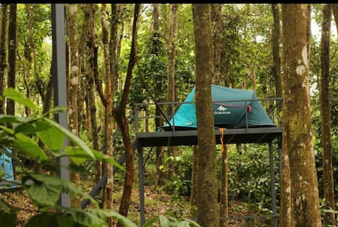 TentHouse | Camping, Forest safari Ride, Hiking