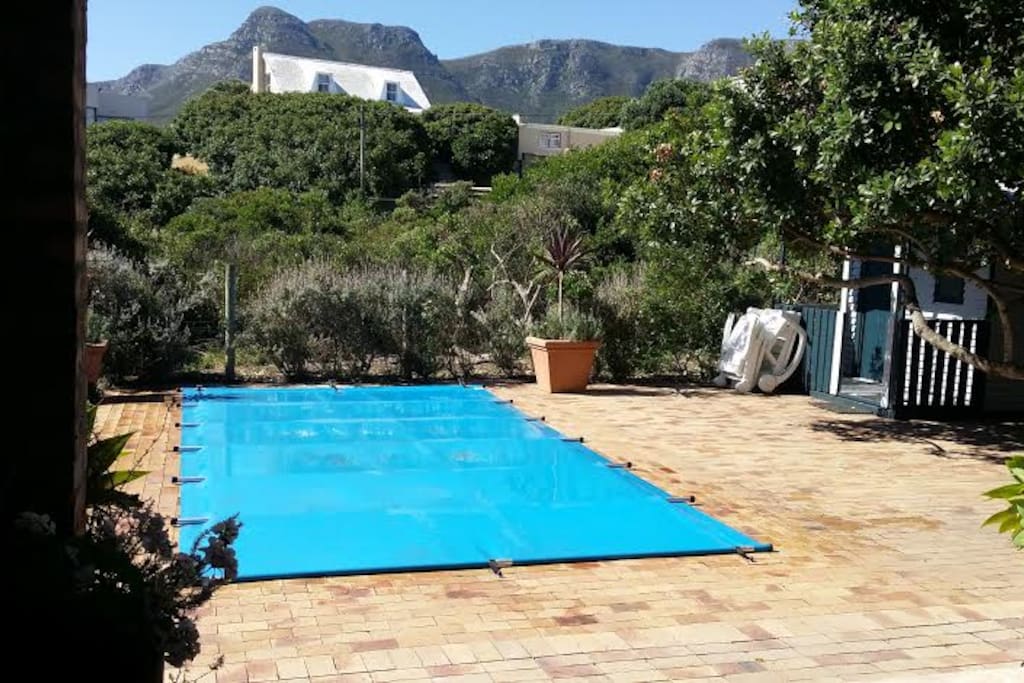 Pool with cover