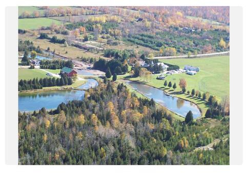 Stunning Silver Springs Retreat - 2hrs from T.O.