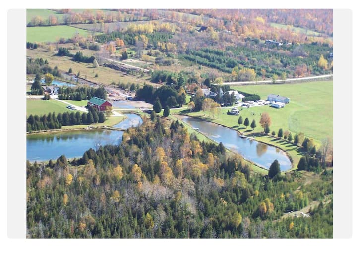 Stunning Silver Springs Retreat 2hrs from T.O. Farm stays for Rent