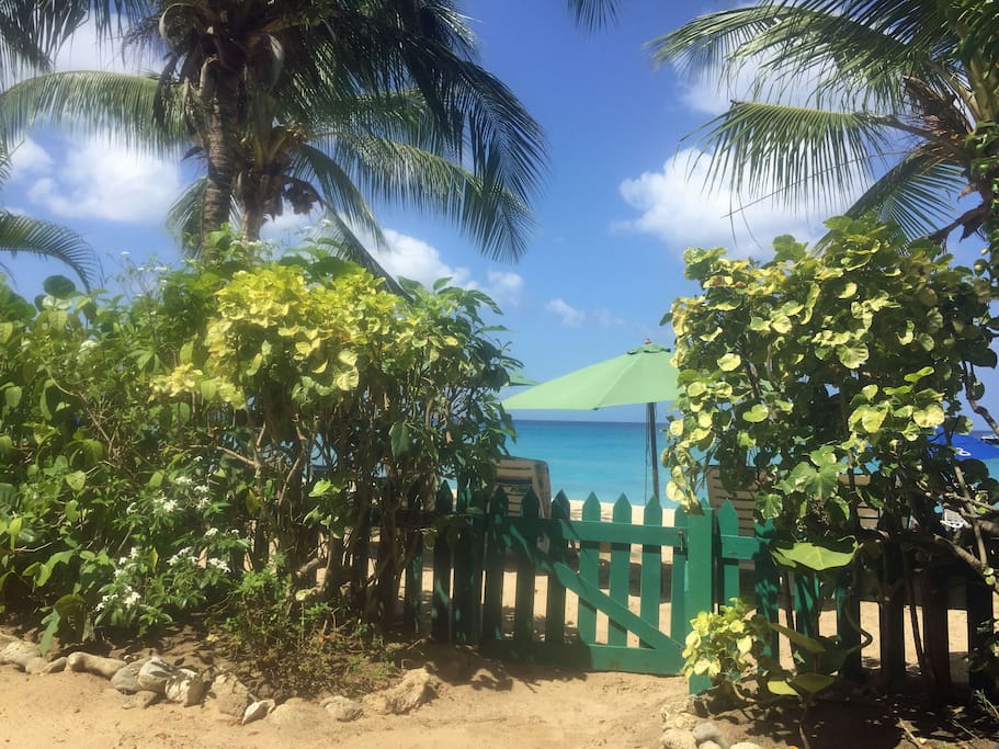 Located right on Paynes Bay Beach