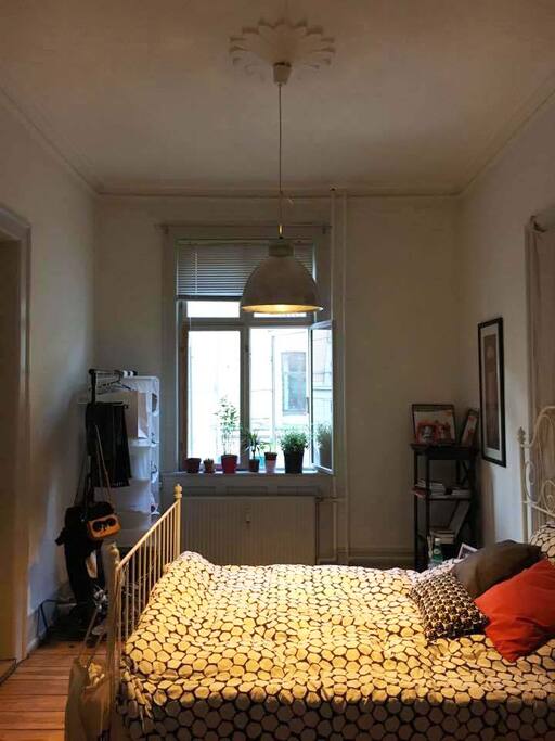 The room