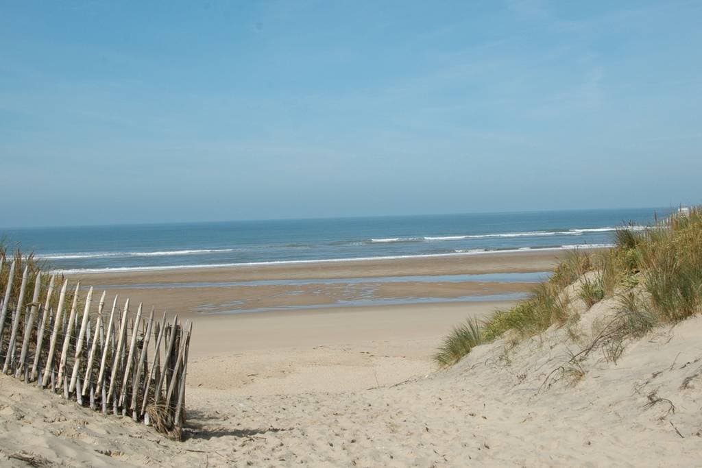 A sandy dune pathway leads to a serene beach, where gentle waves roll onto the shore under a clear blue sky. Tall grasses frame the scene, and a wooden fence runs alongside the path, providing a distinct boundary between the dune and the beach.