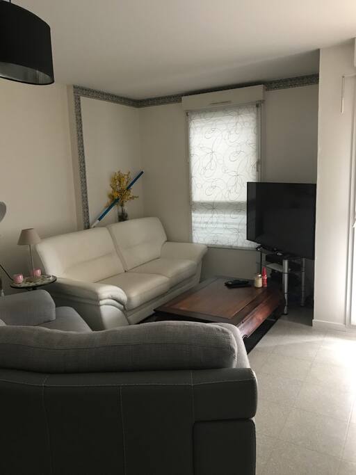 Salon deux canapés, TV avec orange fibre, Netflix disponible, canal + et canalsat.