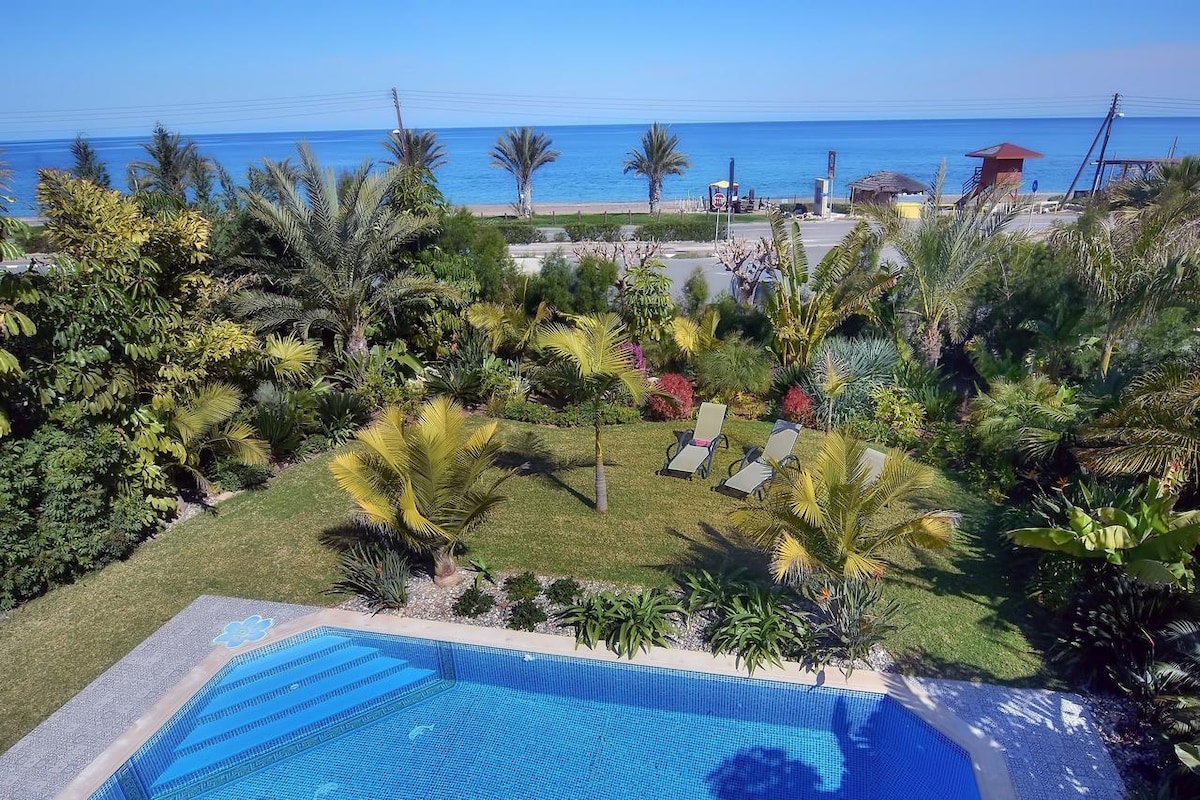 A view of the lush garden is complemented by tropical palm trees and colorful shrubs. Two lounge chairs are positioned on the grassy area, offering a relaxing spot near the inviting swimming pool, with the coastline and sea visible in the background.