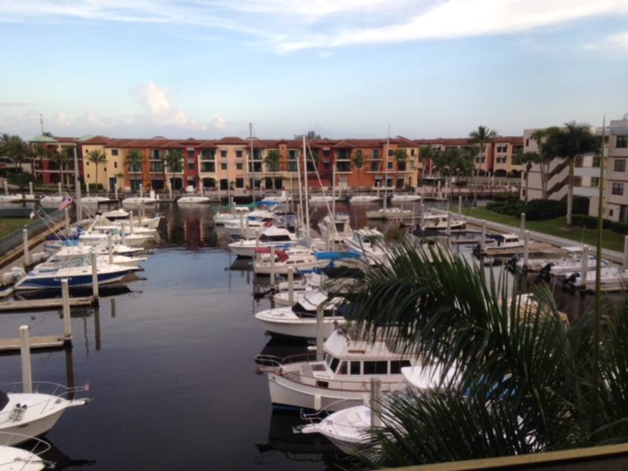 View From Patio