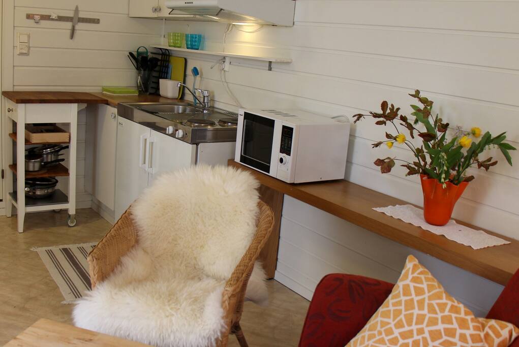 Small kitchen with all you need