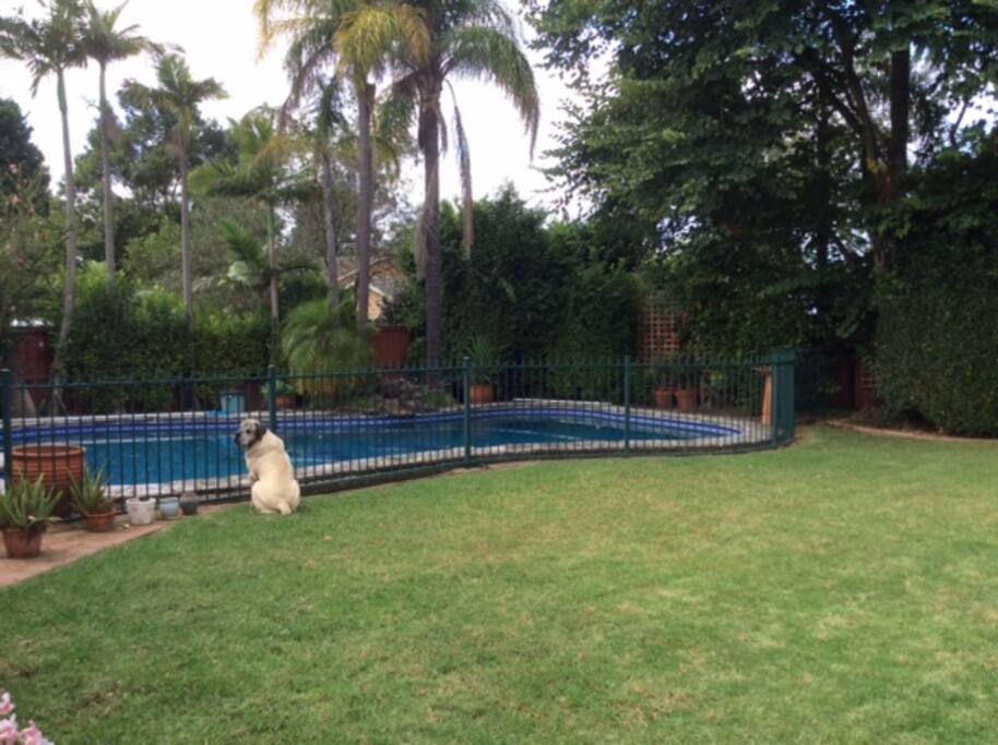 Garden and pool
