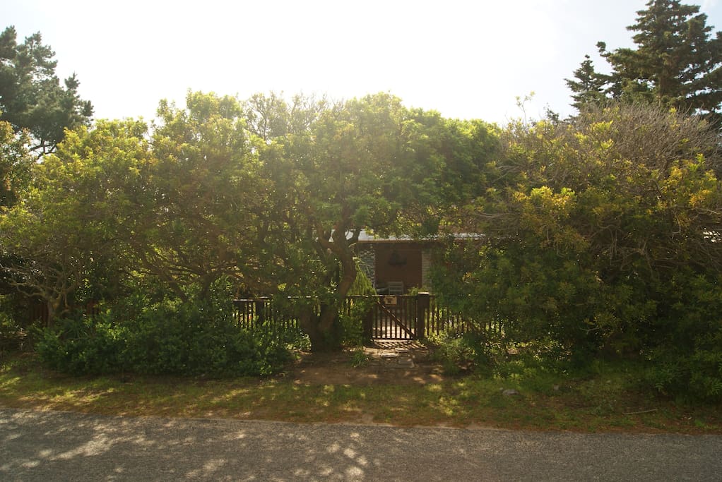 View from the road